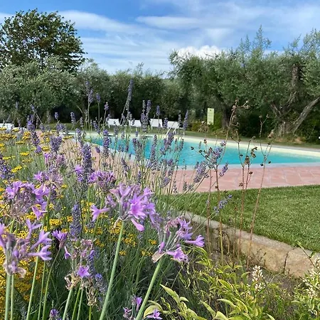Glamping Il Grillo Luxury tent *